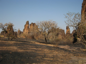 06 Feu De Brousse Encore Fumant